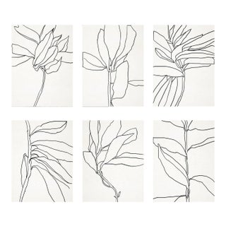 Contemporary Botanical Giclee Prints - Set of 6 For Sale
