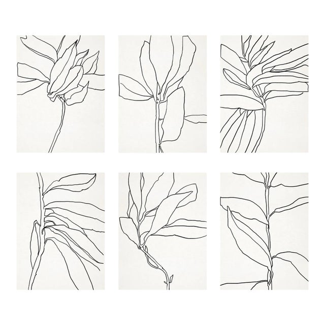 Contemporary Botanical Giclee Prints - Set of 6 For Sale