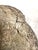 Mid 20th Century Set of Three Cast-Concrete Acorns Suitable for Landscape For Sale - Image 6 of 7