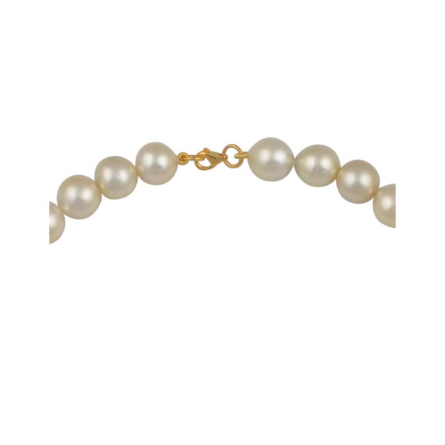 Graduating Cream Color South Sea Pearls Necklace 14 Karat Yellow Gold Clasp For Sale - Image 18 of 18
