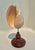 Mid-Century Modern Seashells on Metal Patinated Stand For Sale - Image 3 of 9