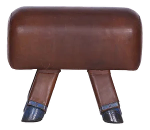 Vintage Pommel Horse Hocker Bank in Leather, 1930s