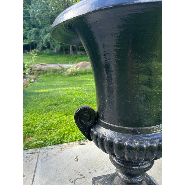 Neoclassical Late 20th Century Cast Iron Haddo House Urns - A Pair For Sale - Image 3 of 13