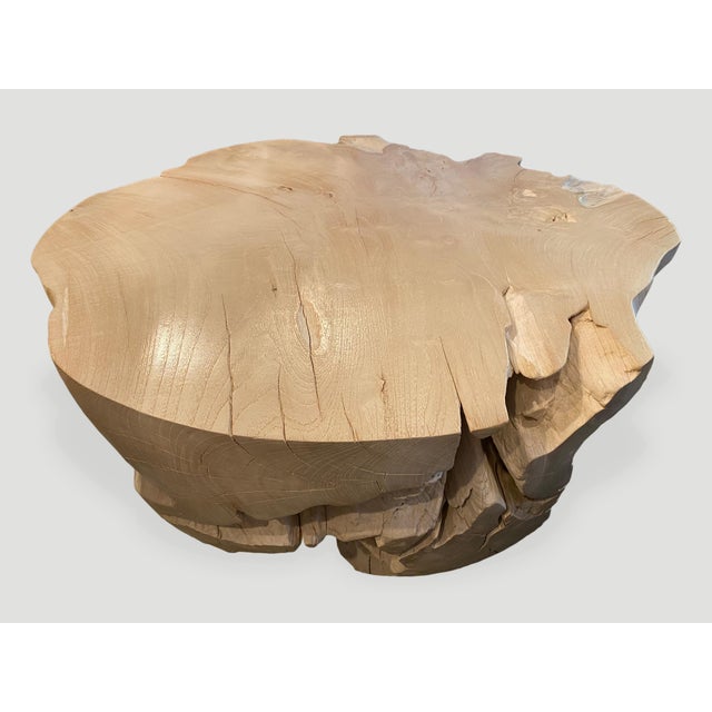Andrianna Shamaris Impressive Bleached Teak Wood Coffee Table For Sale - Image 18 of 18