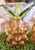 Amber Murano Style Amber Green Glass Cut Pineapple Room Decor- a Pair For Sale - Image 8 of 8
