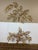 Hollywood Regency Italian Regency Bound Tree Limbs Wall Spray For Sale - Image 3 of 12