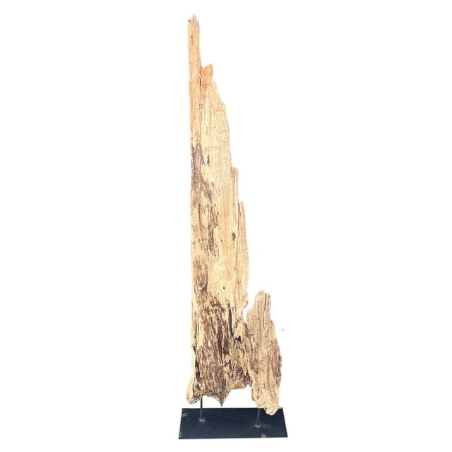 Contemporary Antique Driftwood On Metal Stand For Sale - Image 3 of 5