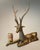 Mid 20th Century Extra Large Brass Deer Sculpture For Sale - Image 6 of 12