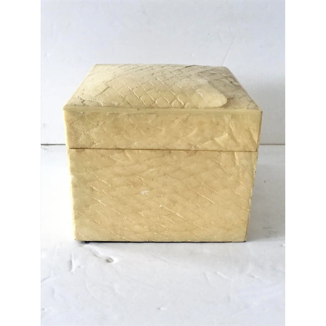 1960s 1960s Snake Skin Covered Box For Sale - Image 5 of 9