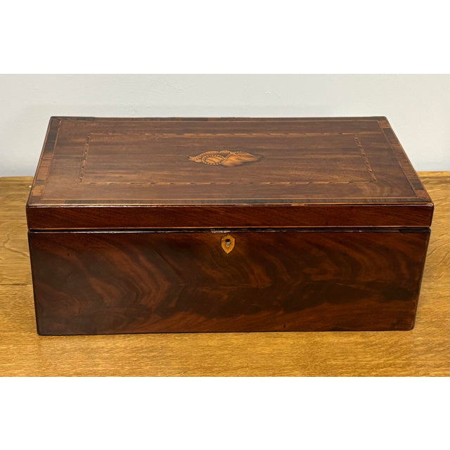 Antique English Box With Shell Design Inlay For Sale - Image 12 of 12