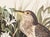 The Abbeville Press edition (1985) of the Night Heron (Plate 236) facsimile is a world-class reproduction of John James...