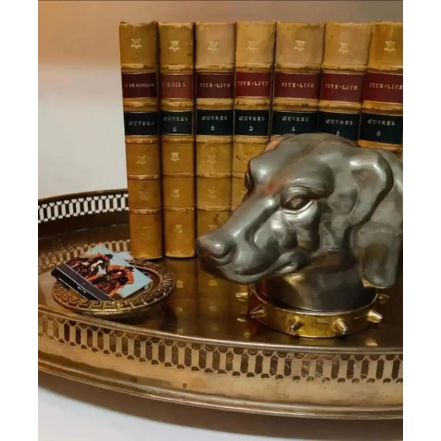 Antique Figural Dog Head Tobacco / Cigarette Box ~ Circa Late 19th Century For Sale - Image 9 of 10