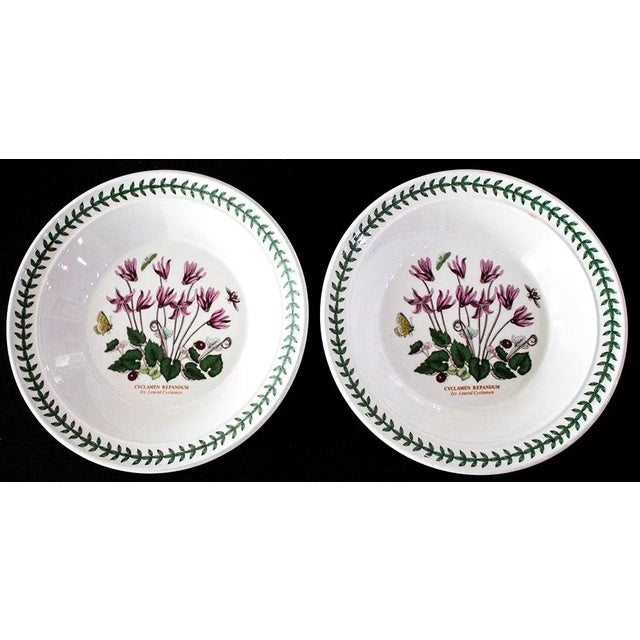 Collectibles Botanic Garden Portmeirion Soup bowl Bellis Perennis Daisy ...