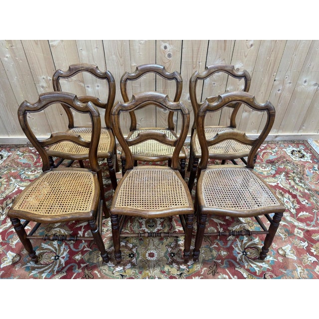 Antique Louis Philippe Caned Walnut Chairs, 1800s, Set of 6 For Sale - Image 6 of 10