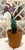French Porcelain Flower in Terracotta Pot For Sale - Image 10 of 11