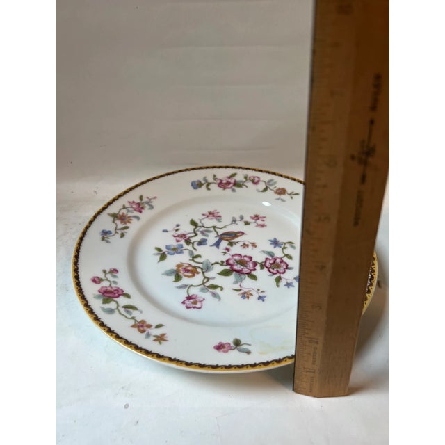 Pair of vintage Indian bird Haviland plates . 10” diameter Great condition, there is no cracks or chips Decorated with...