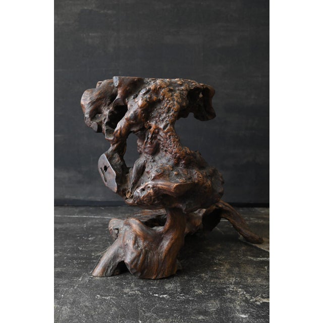 Brown Antique Japanese Burl Wood Display Stand / Meiji-Showa / Organic One-of-a-Kind For Sale - Image 8 of 18