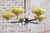 Art Deco Chandelier in Chrome, Beech, Walnut and Glass, Czech, 1920s For Sale - Image 3 of 13
