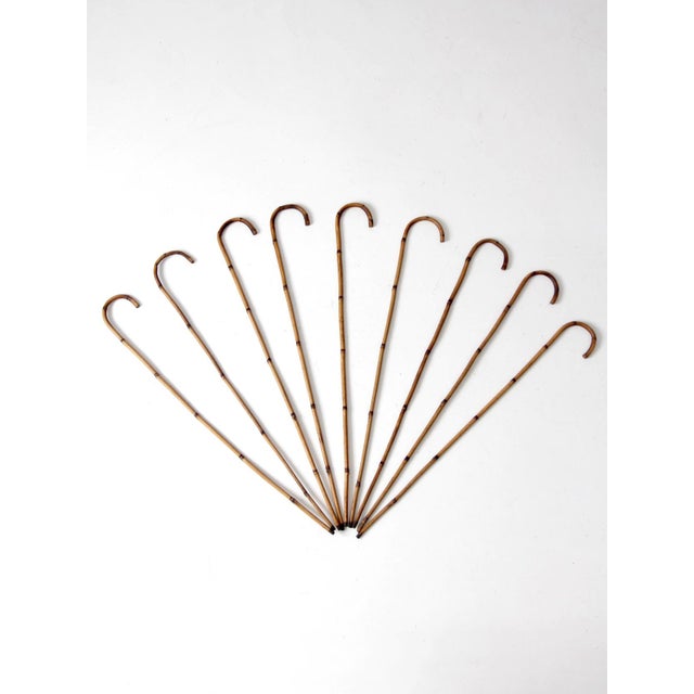 Antique Bamboo Walking Canes Collection For Sale - Image 4 of 14
