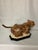 Ceramic Vintage Palm Beach Regency Raymond Waites "Empire" Leopard Tureen - Maximalist Jungle Chic For Sale - Image 7 of 12