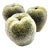 Set of 3 Mid-Century Giant Faux Sugared Green Apples For Sale