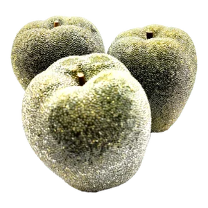 Set of 3 Mid-Century Giant Faux Sugared Green Apples