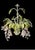 ​Elevate your space with this striking Italian Florentine-inspired 6-light botanical tole chandelier. Masterfully crafted...