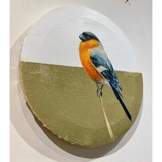 Anastasia Gklava, Eurasian Bullfinch, Orange & Black Bird Composition, Painting with Gold Leaf on Round Canvas, 2025 For Sale - Image 13 of 18