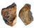 Pr. Vintage Organic Wooden Bookends For Sale - Image 9 of 10