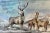 English Large Bolster Pillow Decorated With a Water Color Look Rangle of Majestic Deer Grazing in a Snowy Winter Valley - Made in the U K For Sale - Image 3 of 12