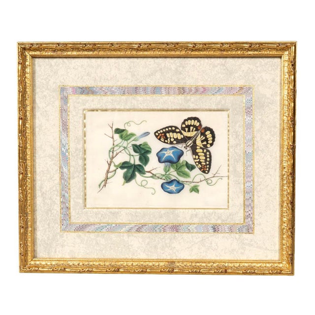 Set of Four Chinese Export Framed Pith Paper Watercolors of Plants and Insects For Sale In Boston - Image 6 of 10
