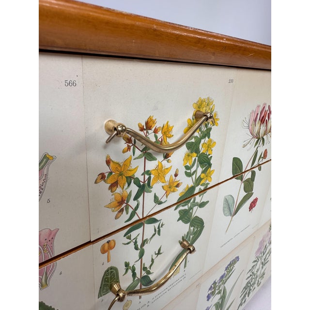 1950s 1950's Swedish Dresser With Nordens Flora Illustrations For Sale - Image 5 of 12