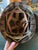 Original U.S. WWII M1 steel helmet with original liner and chinstrap, attributed to Colonel Jake L. Wilk, who served as a...