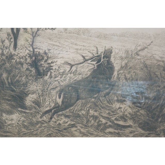 Antique Hc Rost Signed Hunt Theme Forest Elk Stag Landscape Etching 31" For Sale - Image 9 of 11