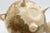 This is a stunning Japanese Satsuma flower censer. It stands on three legs. It is from the Meiji period. The Meiji era was...