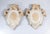 Louis XV Mirrors in Gilded Ceramic, Set of 2 For Sale - Image 9 of 18