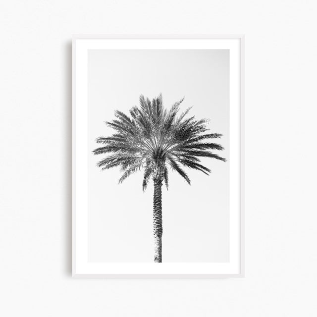 This large palm tree art print is an eye-catching contemporary piece of minimalist black and white artwork, a fine art...
