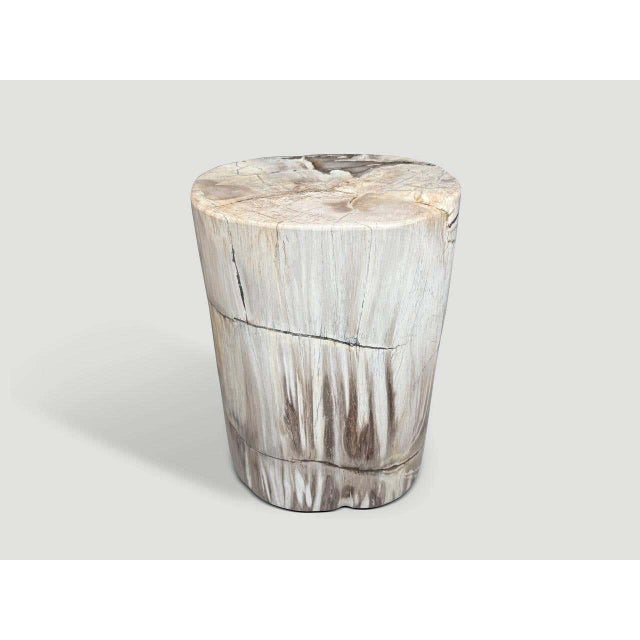 2010s Andrianna Shamaris Ancient Petrified Wood Side Table For Sale - Image 5 of 5