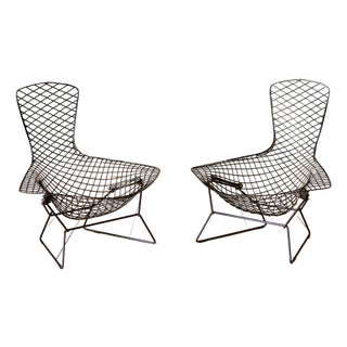 Vintage Pair of Black Bird Lounge Chairs by Harry Bertoia for Knoll Associates For Sale
