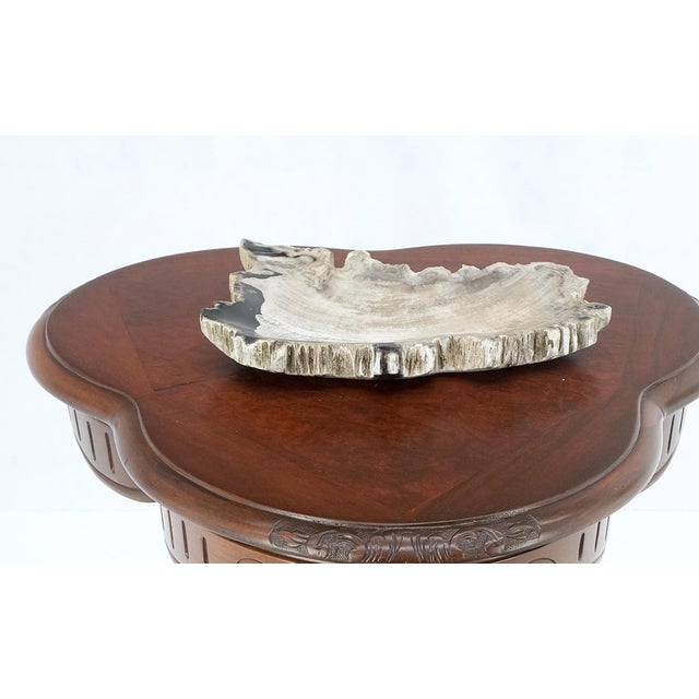Petrified Wood Antarctica Shape Solid Black & Tanl Bowl Dish Large Plate Ashtray For Sale - Image 4 of 13