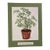 VTG Schefflera Umbrella Tree Art Print by Sandra - 18" Matted Litho For Sale