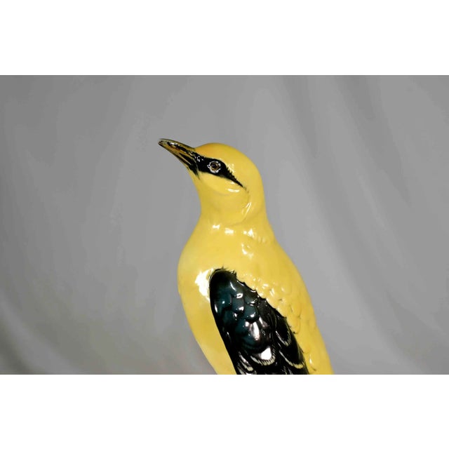 Early 20th Century Porcelain Indian Golden Oriole by Karl Ens Volkstedt Germany For Sale - Image 10 of 12