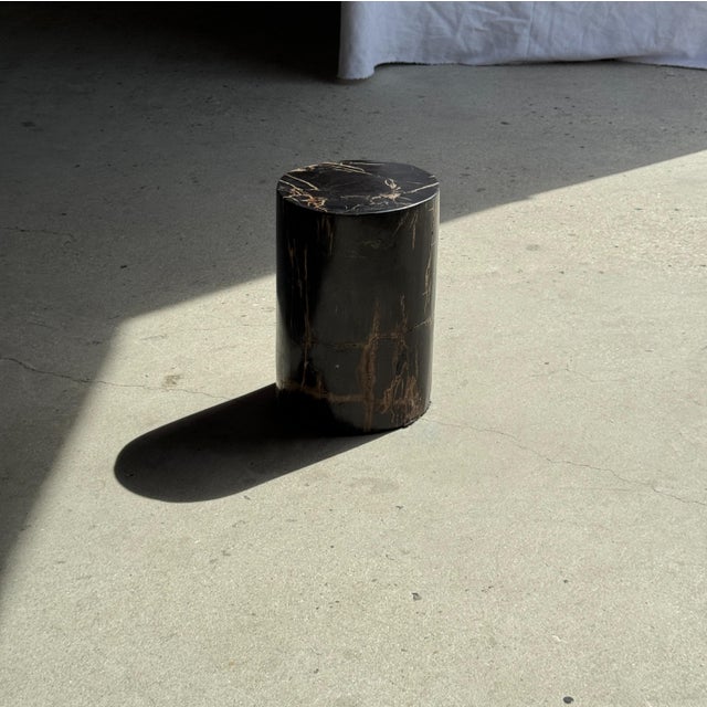 Small Side Table in Black Petrified Wood with Beige Striations For Sale - Image 5 of 18