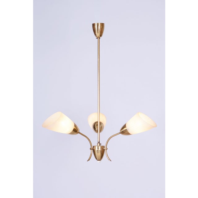 Mid-Century Chandelier in Brass and Frosted Glass, Czech, 1950s For Sale - Image 9 of 12