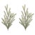 Rustic Glittered Pine Spray (Set of 2) For Sale - Image 3 of 3