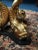 Vintage Hollywood Regency Glass Coffee Table with Dolphins For Sale - Image 6 of 11