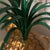 Vintage Tole Pineapple Topped With Green Palm - Sold as a Pair For Sale - Image 4 of 10