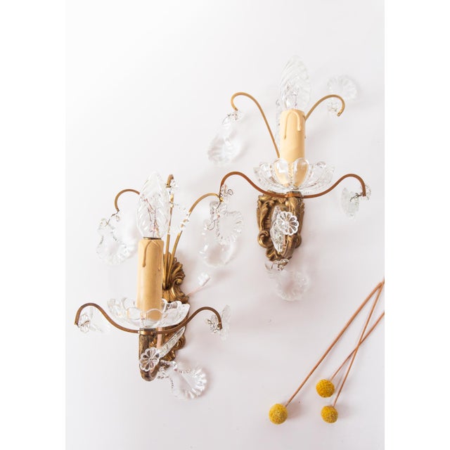 Metal French Wall Sconces in Bronze with Brass and Glass, 1950s, Set of 2 For Sale - Image 7 of 7