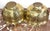 Metal Pair of Anglo-Indian Engraved Brass Jardinieres with Exotic Animal Motifs For Sale - Image 7 of 17