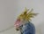 Ceramic Parrot by Karl Ens, Germany, 1910s For Sale - Image 3 of 11